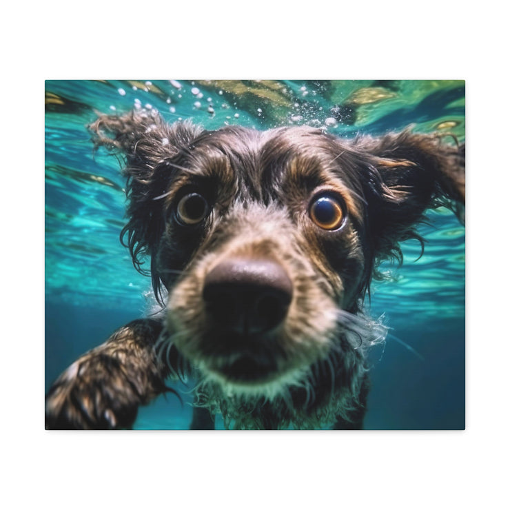 Terreir Dog face in Water Canvas Gallery Wraps