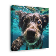 Terreir Dog face in Water Canvas Gallery Wraps