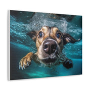 Dog under water