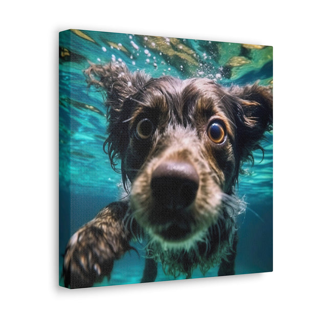 Terreir Dog face in Water Canvas Gallery Wraps