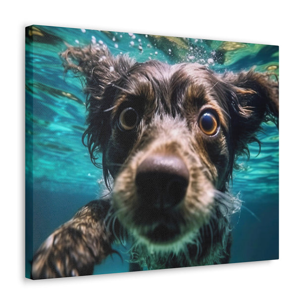 Terreir Dog face in Water Canvas Gallery Wraps