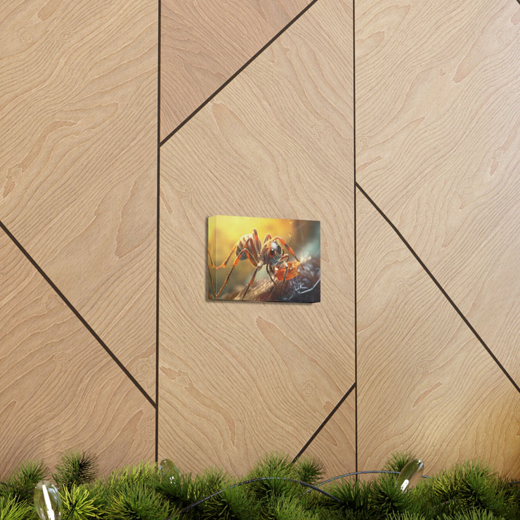 Ant in close up Canvas Gallery Wraps