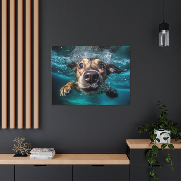 Dog under water