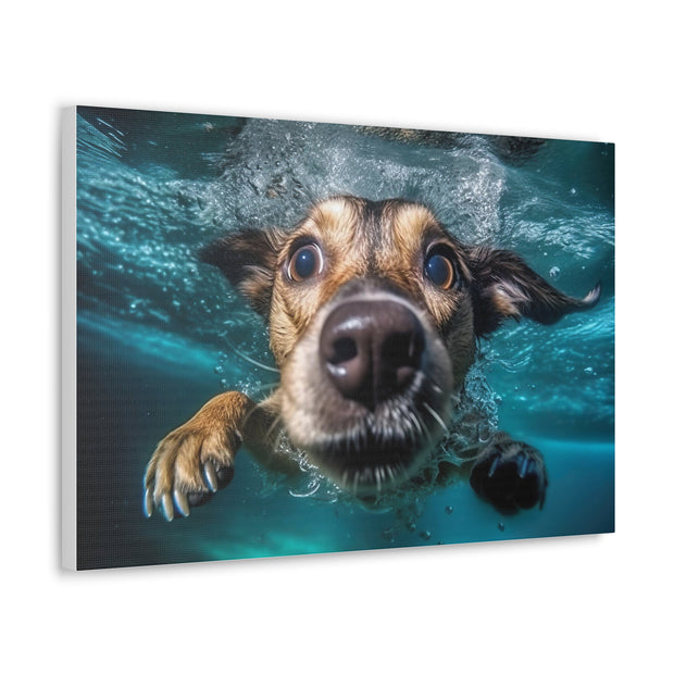 Dog under water