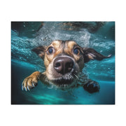 Dog under water