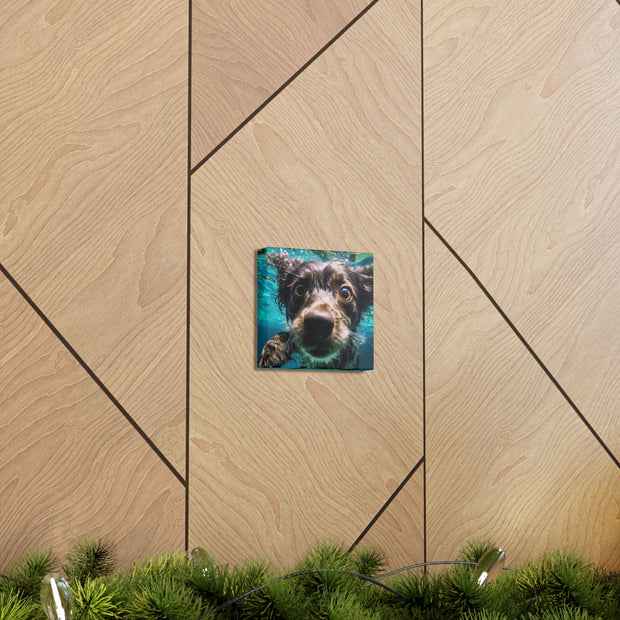 Terreir Dog face in Water Canvas Gallery Wraps