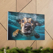 Dog under water