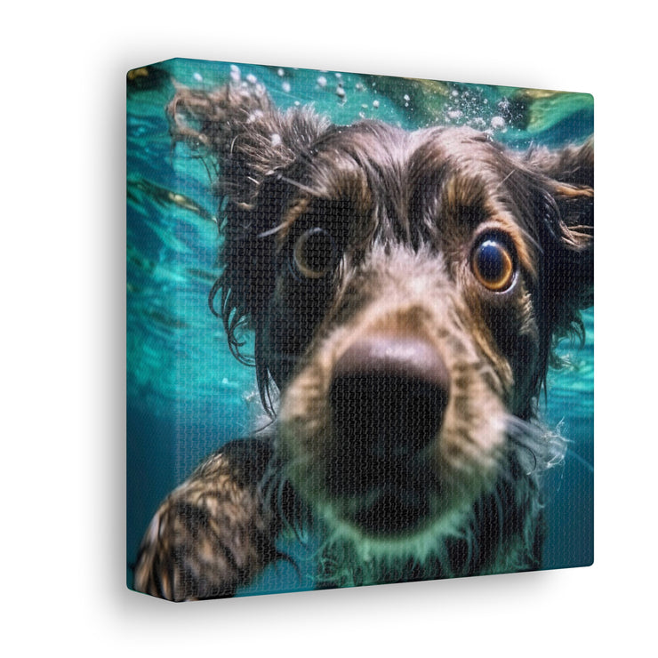 Terreir Dog face in Water Canvas Gallery Wraps